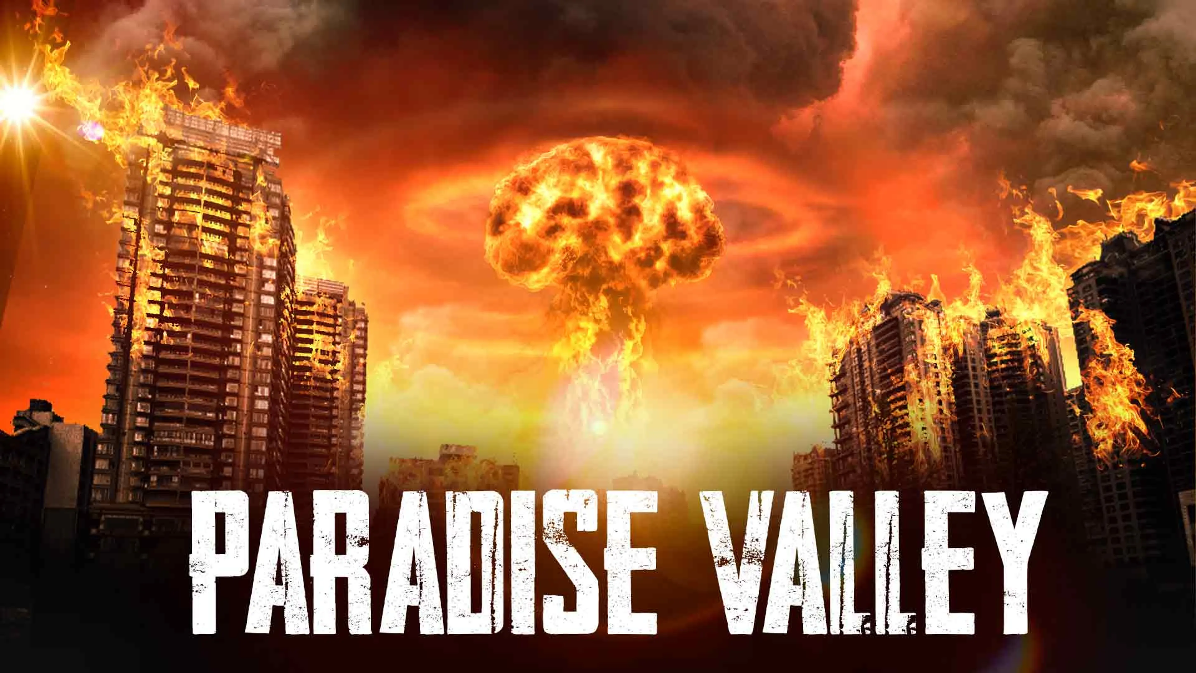 Paradise Valley poster